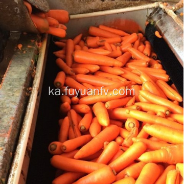 ქარხანა უშუალოდ მიეწოდება Fresh Carrot